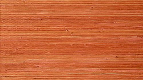 RAFFIA PALM T24072